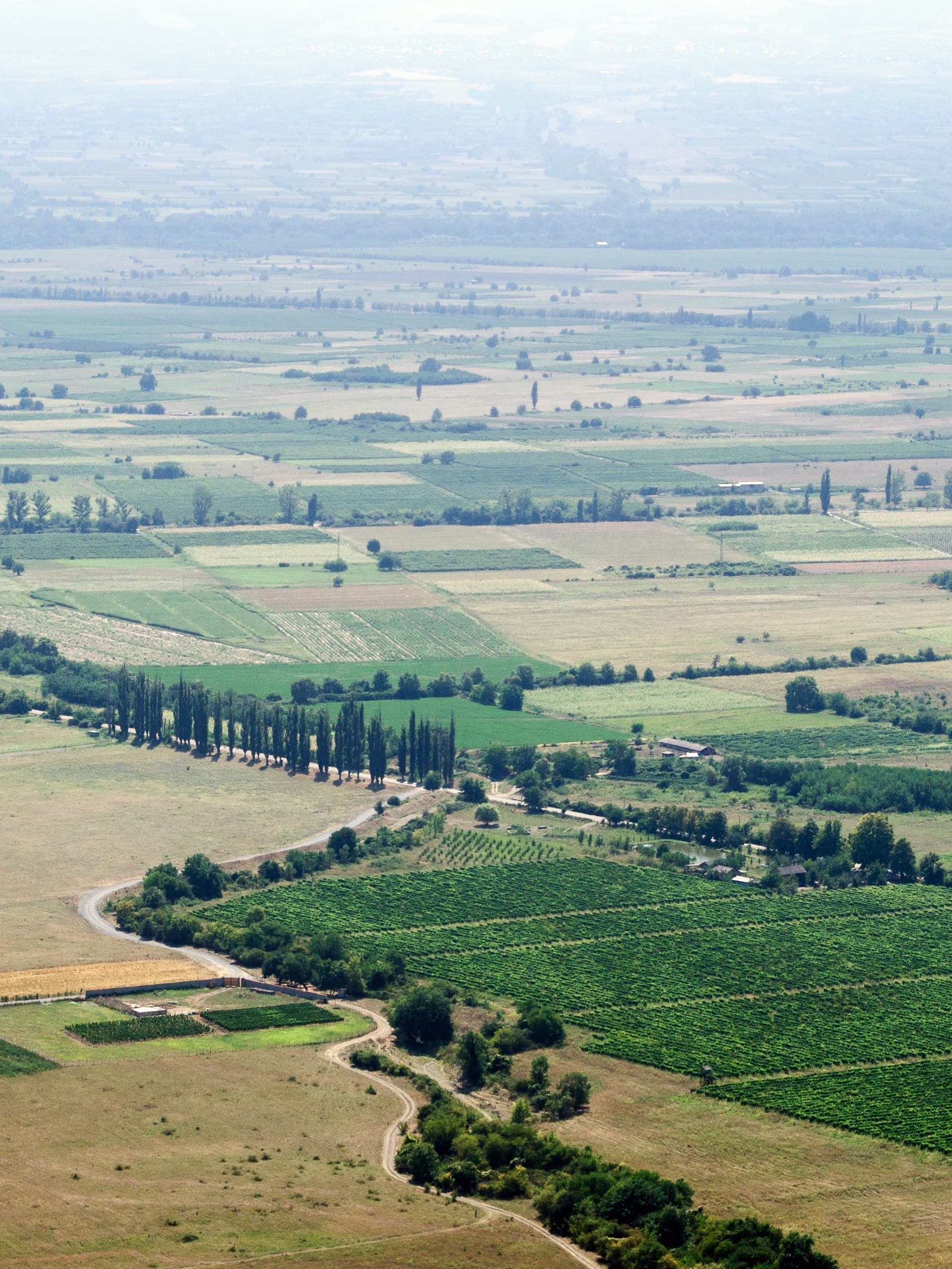 Panoramic view of Alazani Valley from Nekresi Monastery with vineyards, cypress trees, and Caucasus Mountains