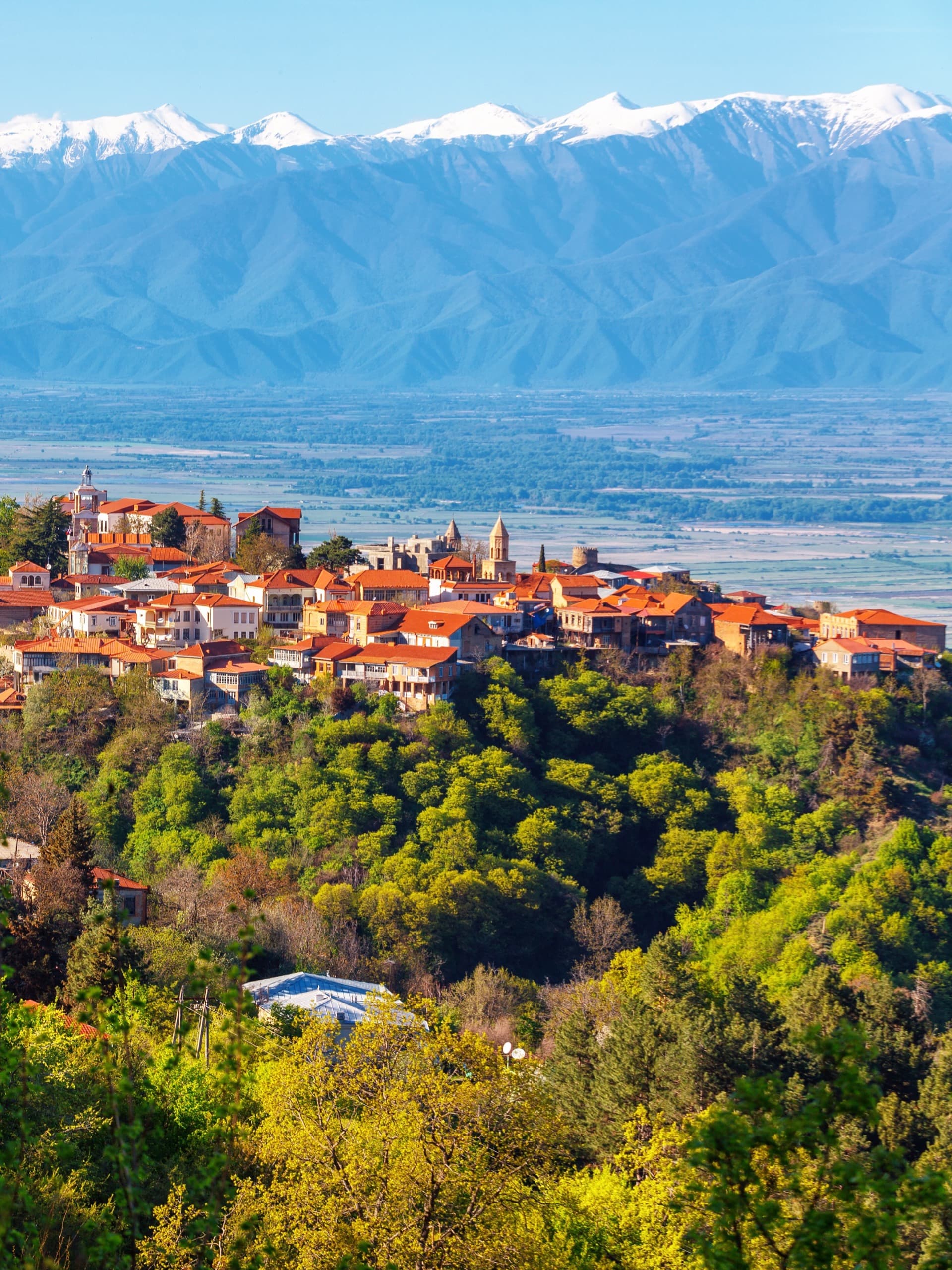Sighnaghi hilltop town with red-tiled roofs overlooking Alazani Valley vineyards and distant Caucasus Mountains