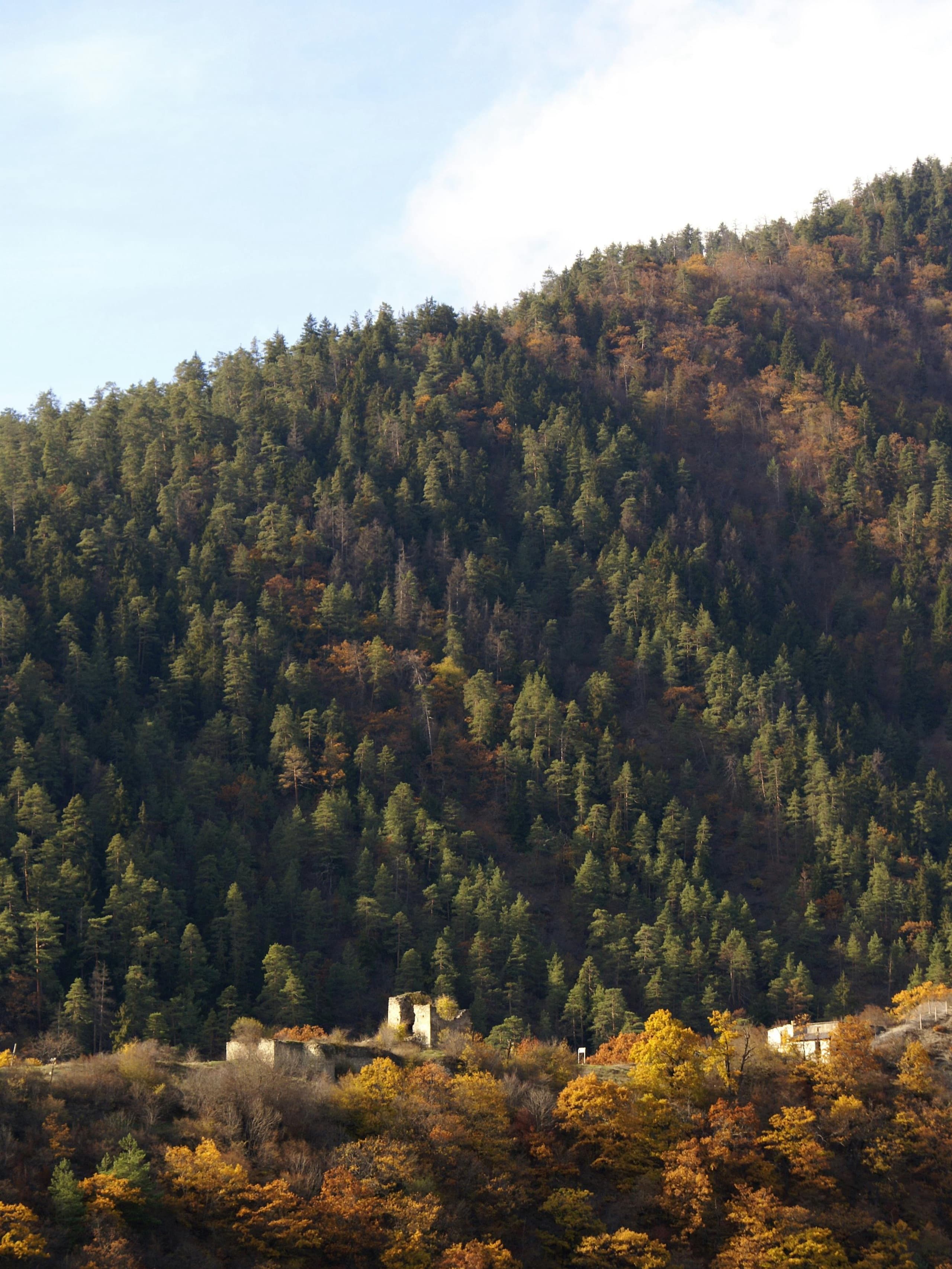 Borjomi National Park forested hills with autumn colors, hiking trails, and mineral spring landscape