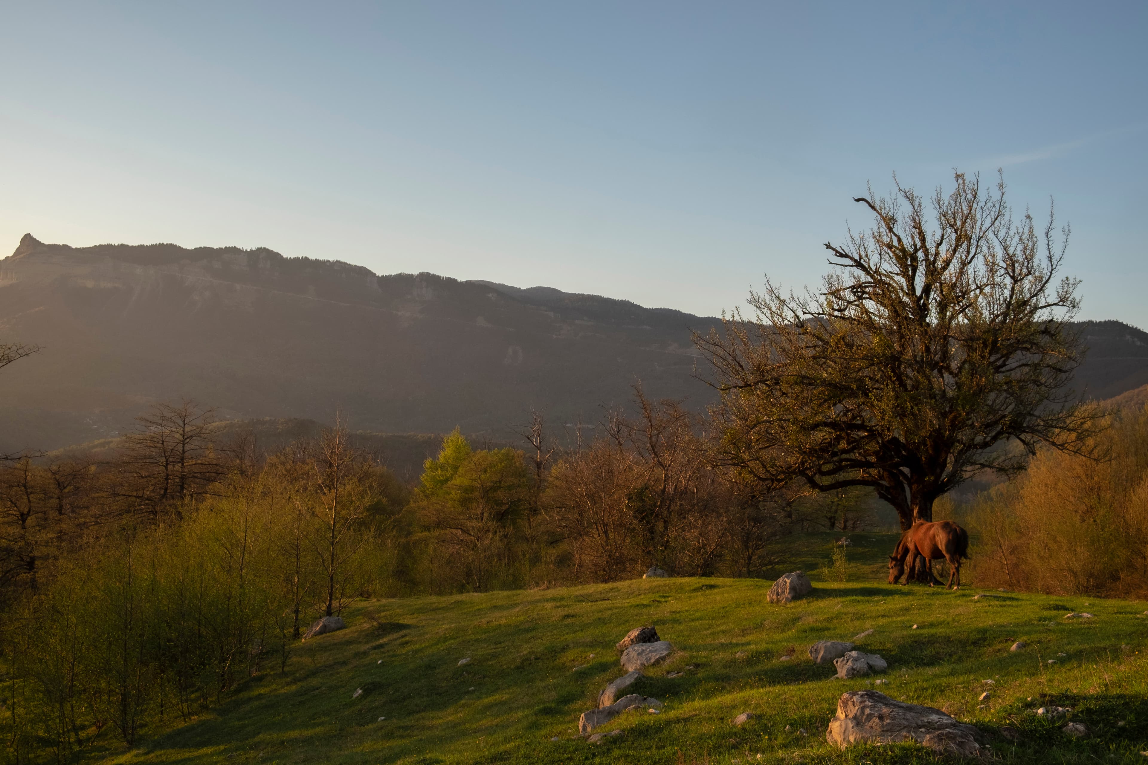 Georgian countryside with traditional elements
